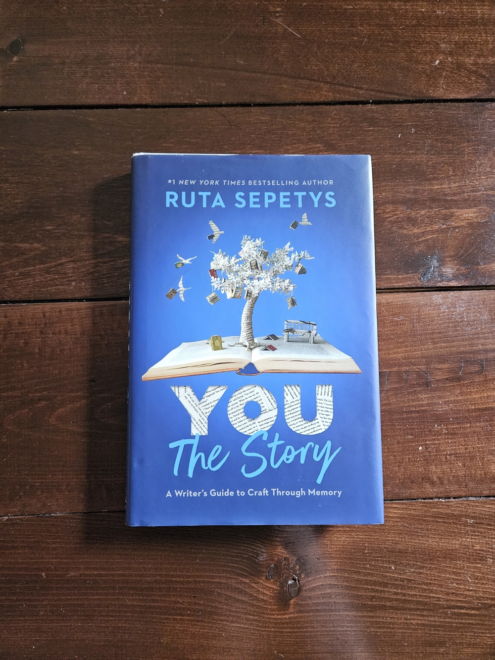 You The Story A Writer's Guide to Craft Through Memory by Ruta Sepetys Hardcover